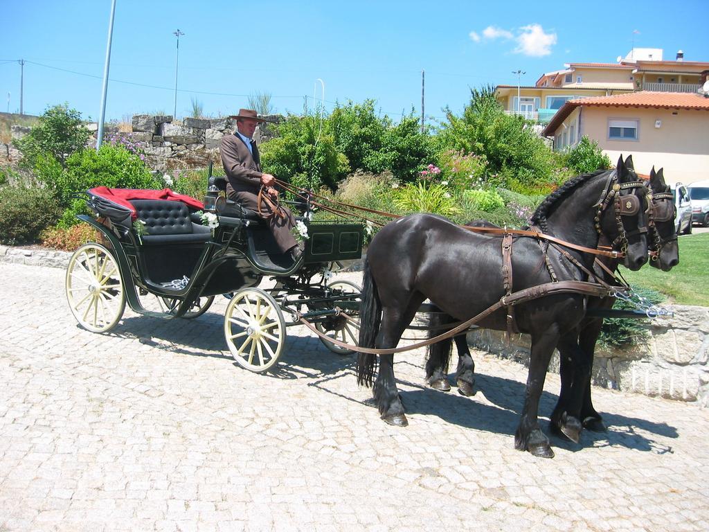 Hotel Rio Beca Ботикаш Экстерьер фото